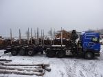 Trætransporter Scania R420 LA6x4,návěs Svan |  Transport- og styregrej | Tømrer maskineri | JANEČEK CZ 